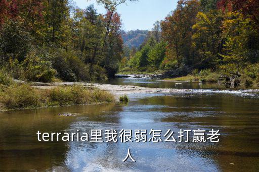 terraria里我很弱怎么打赢老人