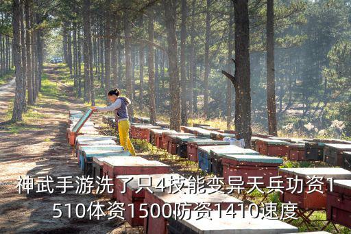 神武手游洗了只4技能变异天兵功资1510体资1500防资1410速度