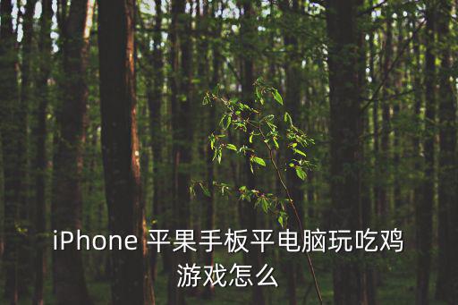 iPhone 平果手板平电脑玩吃鸡游戏怎么