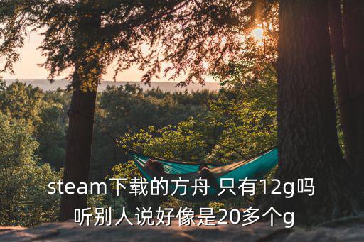 steam下载的方舟 只有12g吗 听别人说好像是20多个g