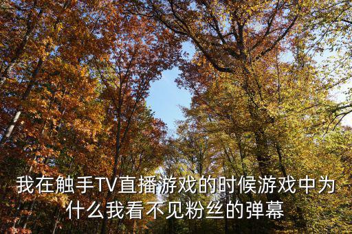 我在触手TV直播游戏的时候游戏中为什么我看不见粉丝的弹幕