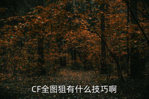 CF全图狙有什么技巧啊