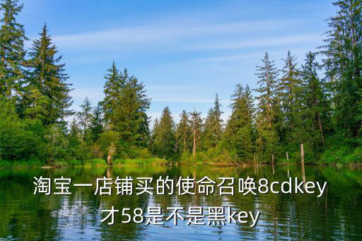 淘宝一店铺买的使命召唤8cdkey才58是不是黑key