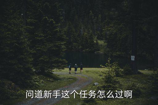 问道新手这个任务怎么过啊