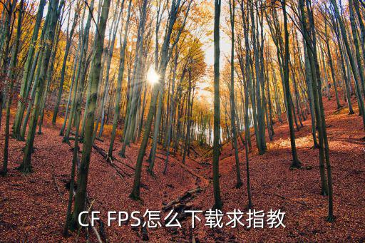 cf手游怎么下4fps，穿越火线4fps怎么弄