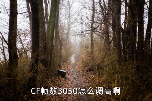 CF帧数3050怎么调高啊