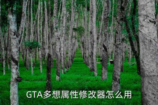 GTA多想属性修改器怎么用