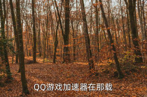 QQ游戏加速器在那载