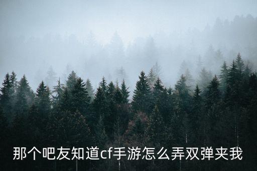 cf手游双喷怎么用，那个吧友知道cf手游怎么弄双弹夹我