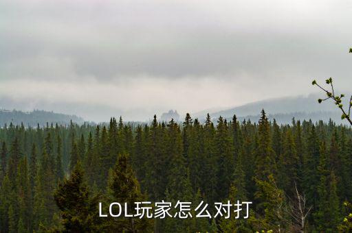 LOL玩家怎么对打