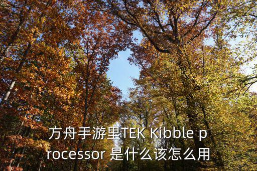 方舟手游里TEK Kibble processor 是什么该怎么用