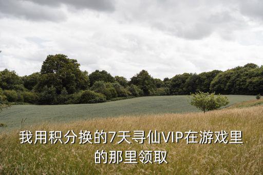 我用积分换的7天寻仙VIP在游戏里的那里领取