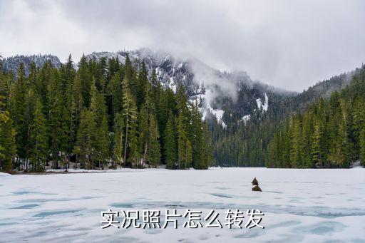 实况照片怎么转发