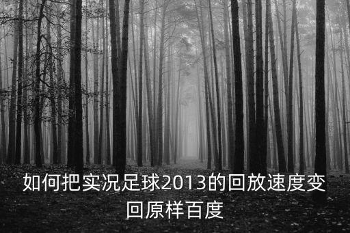 如何把实况足球2013的回放速度变回原样百度