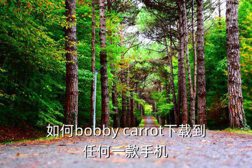 如何bobby carrot下载到任何一款手机