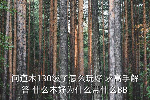 问道木130级了怎么玩好 求高手解答 什么木好为什么带什么BB