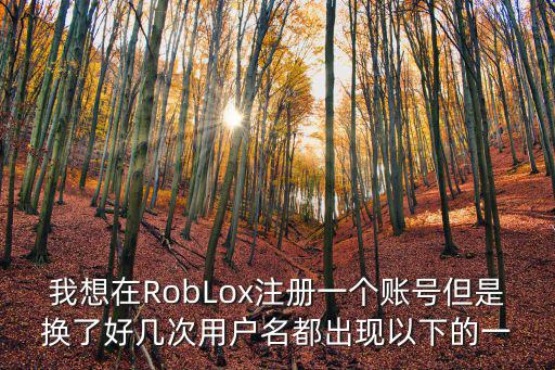 我想在RobLox注册一个账号但是换了好几次用户名都出现以下的一