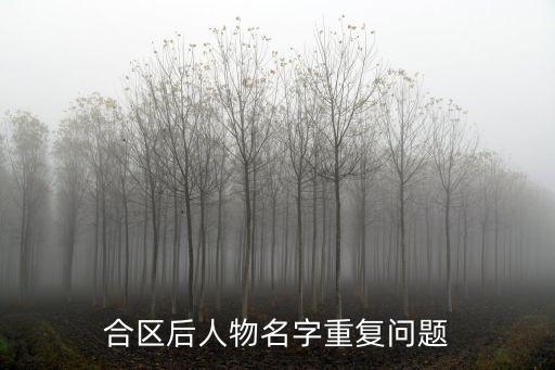 英雄联盟手游重复名怎么办，玩游戏名字重复怎么办