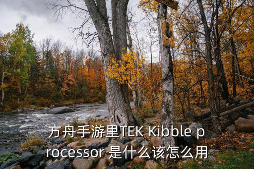 方舟手游里TEK Kibble processor 是什么该怎么用