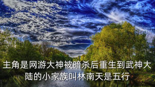 主角是网游大神被暗杀后重生到武神大陆的小家族叫林南天是五行