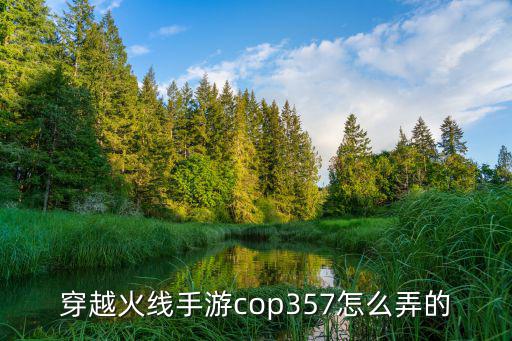 穿越火线手游cop357怎么弄的