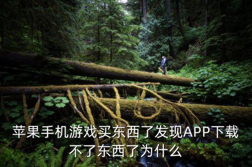 苹果手机游戏买东西了发现APP下载不了东西了为什么