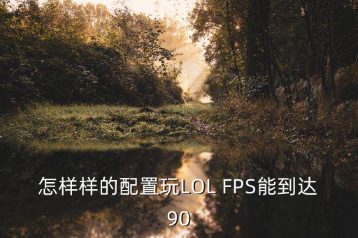 怎样样的配置玩LOL FPS能到达90