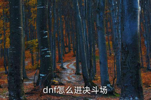 dnf怎么进决斗场