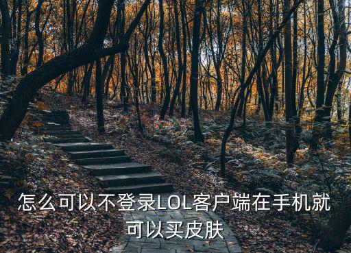 lol手游怎么隐藏登录手机，如何隐藏LOL的在线或者游戏状态