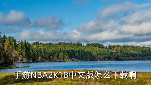 手游NBA2K18中文版怎么下载啊