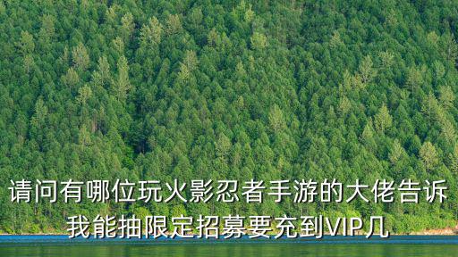 请问有哪位玩火影忍者手游的大佬告诉我能抽限定招募要充到VIP几