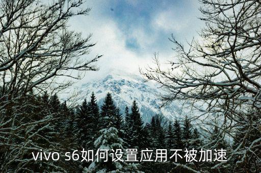 vivo s6如何设置应用不被加速