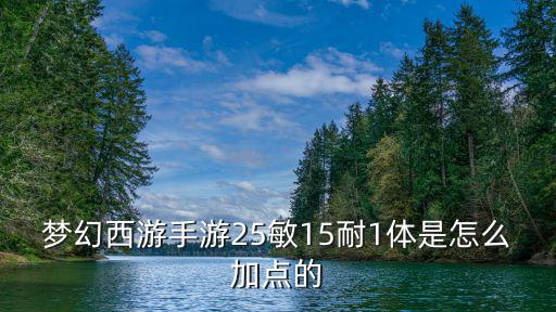 梦幻西游手游25敏15耐1体是怎么加点的