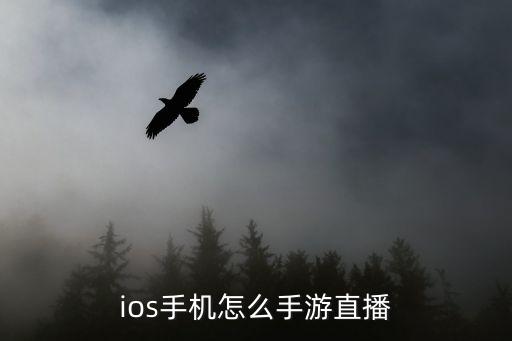 ios手机怎么手游直播