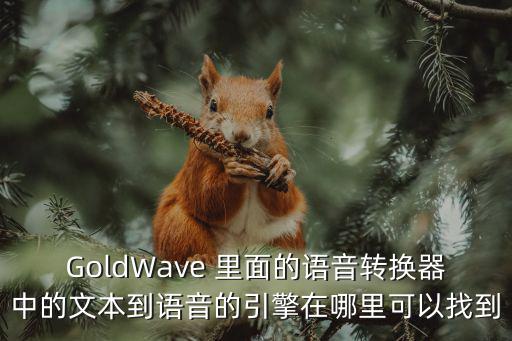 GoldWave 里面的语音转换器中的文本到语音的引擎在哪里可以找到