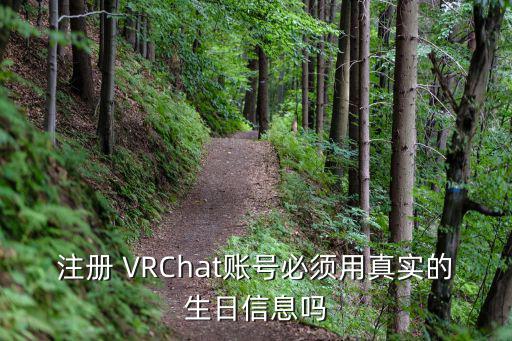 注册 VRChat账号必须用真实的生日信息吗