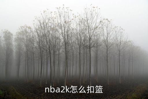 nba2k怎么扣篮