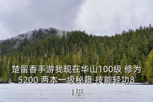 楚留香手游江湖功夫怎么提升，楚留香手游我现在华山100级 修为5200 两本一级秘籍 技能轻功81级