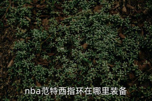 nba范特西指环在哪里装备