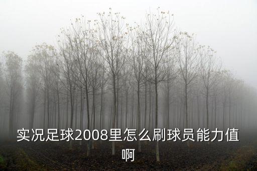 实况足球2008里怎么刷球员能力值啊