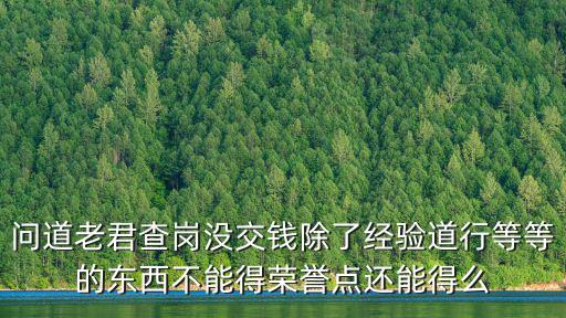 问道老君查岗没交钱除了经验道行等等的东西不能得荣誉点还能得么