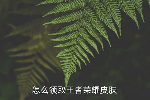 怎么领取王者荣耀皮肤