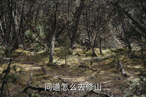 问道怎么去修山