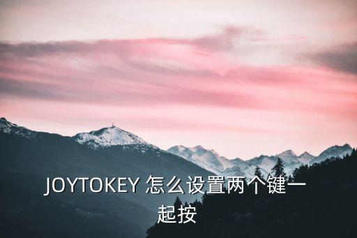 JOYTOKEY 怎么设置两个键一起按