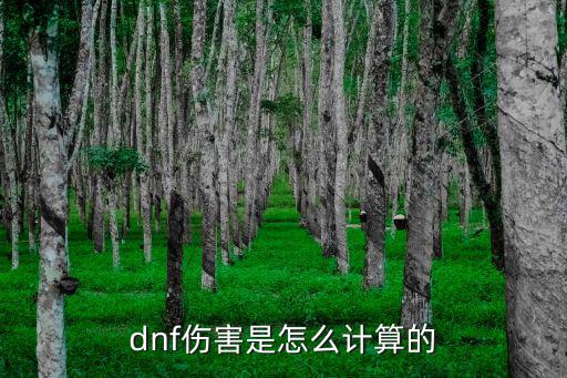 dnf伤害是怎么计算的