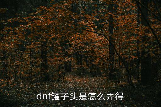 dnf罐子头是怎么弄得