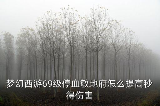 手游梦幻西游69级怎么提升伤害，梦幻西游69级怎么练强