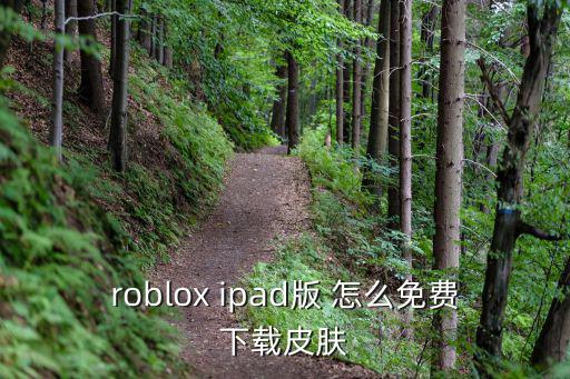 手游roblox国际服怎么下，华为mt7手机怎么下载roblox