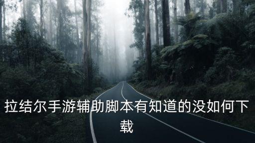 拉结尔手游辅助脚本有知道的没如何下载