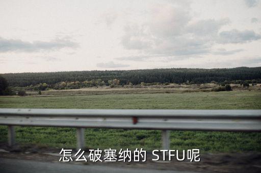 怎么破塞纳的 STFU呢